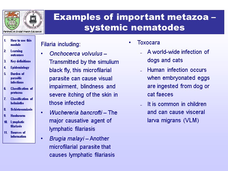 Examples of important metazoa –systemic nematodes Filaria including: Onchocerca volvulus – Transmitted by the